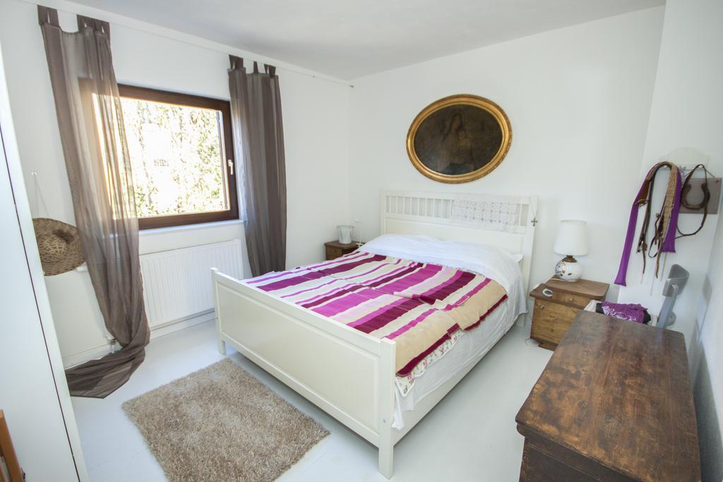 Drnis Dream Apartment Room photo